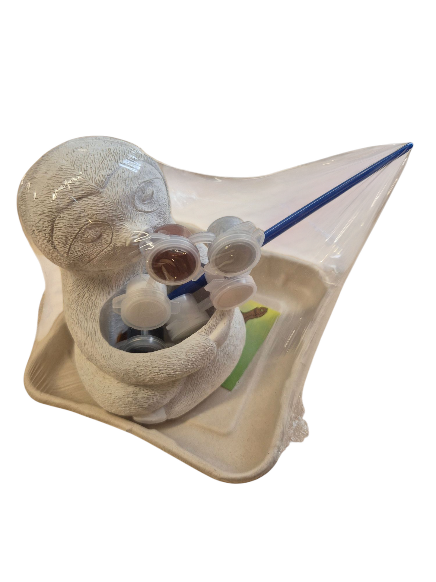 3D Plaster & Paint - Plaster Kids