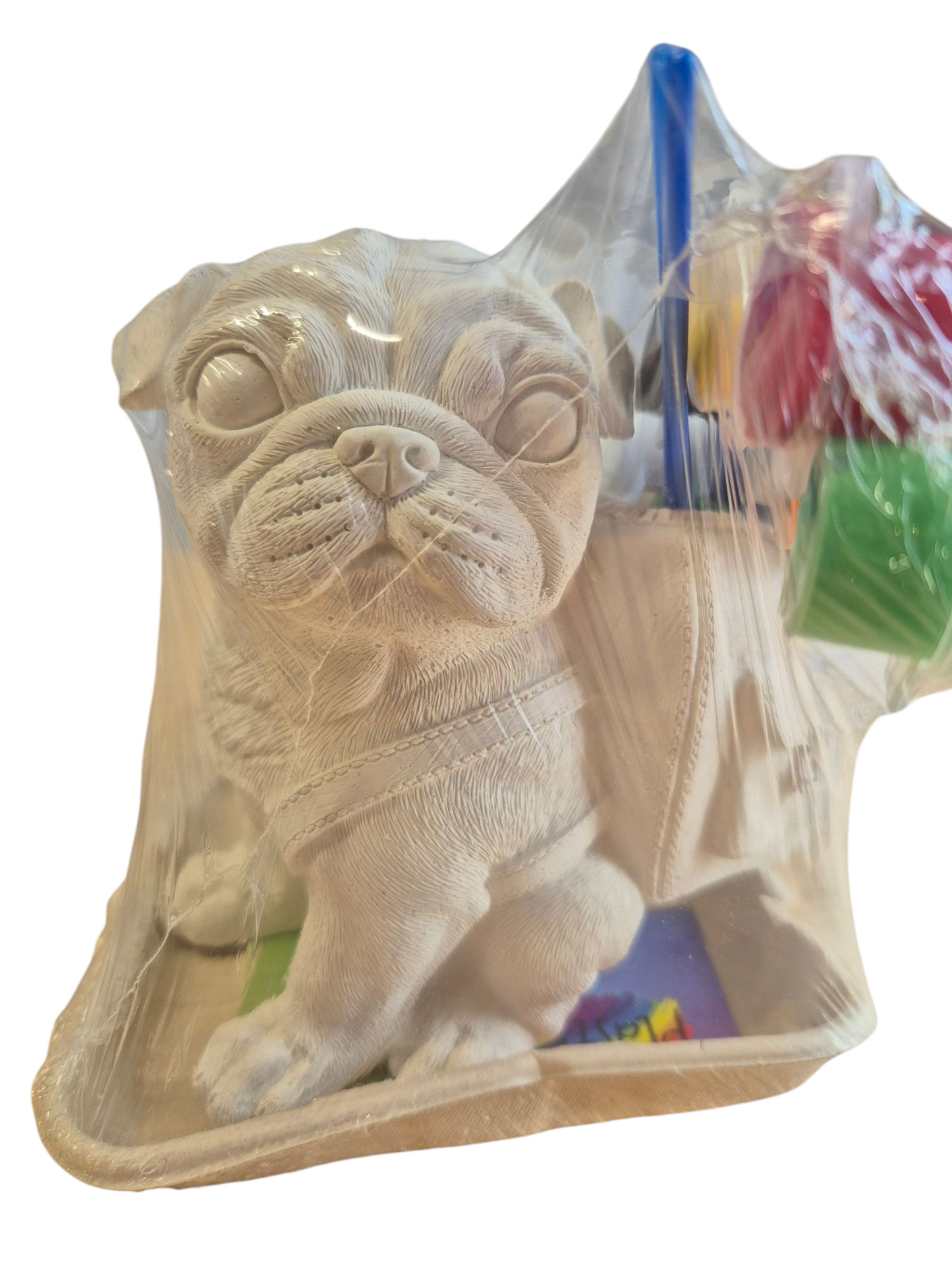 3D Plaster & Paint - Plaster Kids