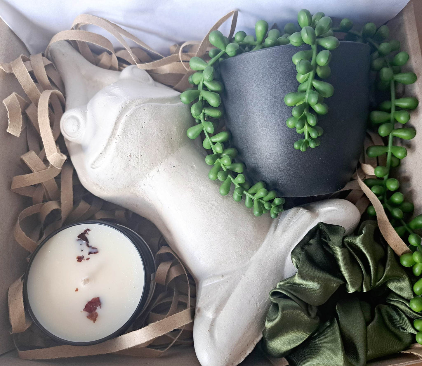 Yoga Frog Hamper