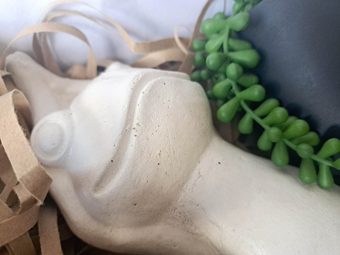 Yoga Frog Hamper