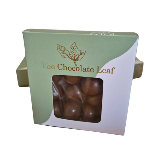 Milk Chocolate Hazelnuts - The Chocolate Leaf