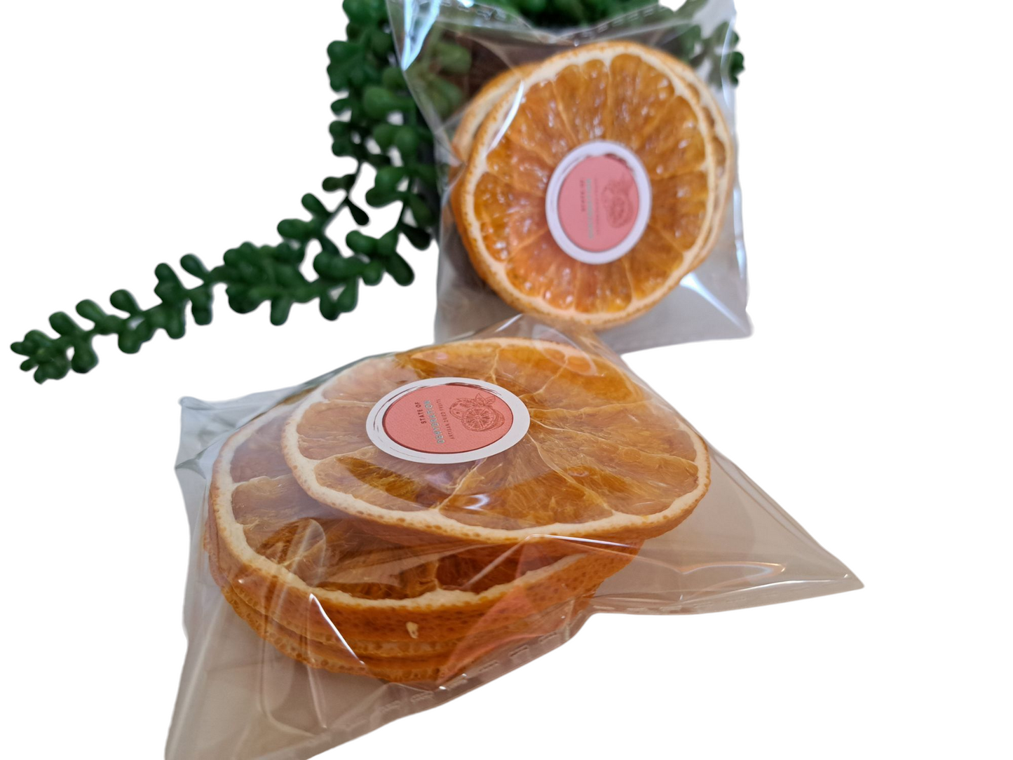 Dehydrated Orange Slices - State of Dehydration