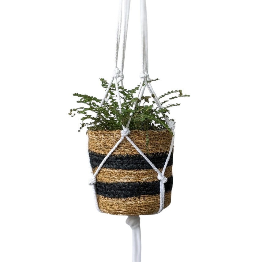 Luxe Decor Craft Kit - Macrame Hanging Planters