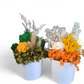 Dried Flower Arrangement - Forever Bloomed